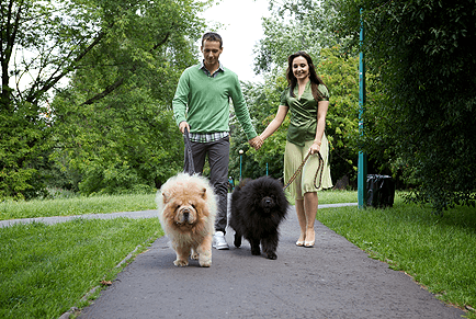 Pet Boarding