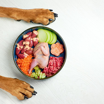 <p>Expert guidance on balanced meals and supplements tailored to your dog’s age, breed, and health needs.</p>